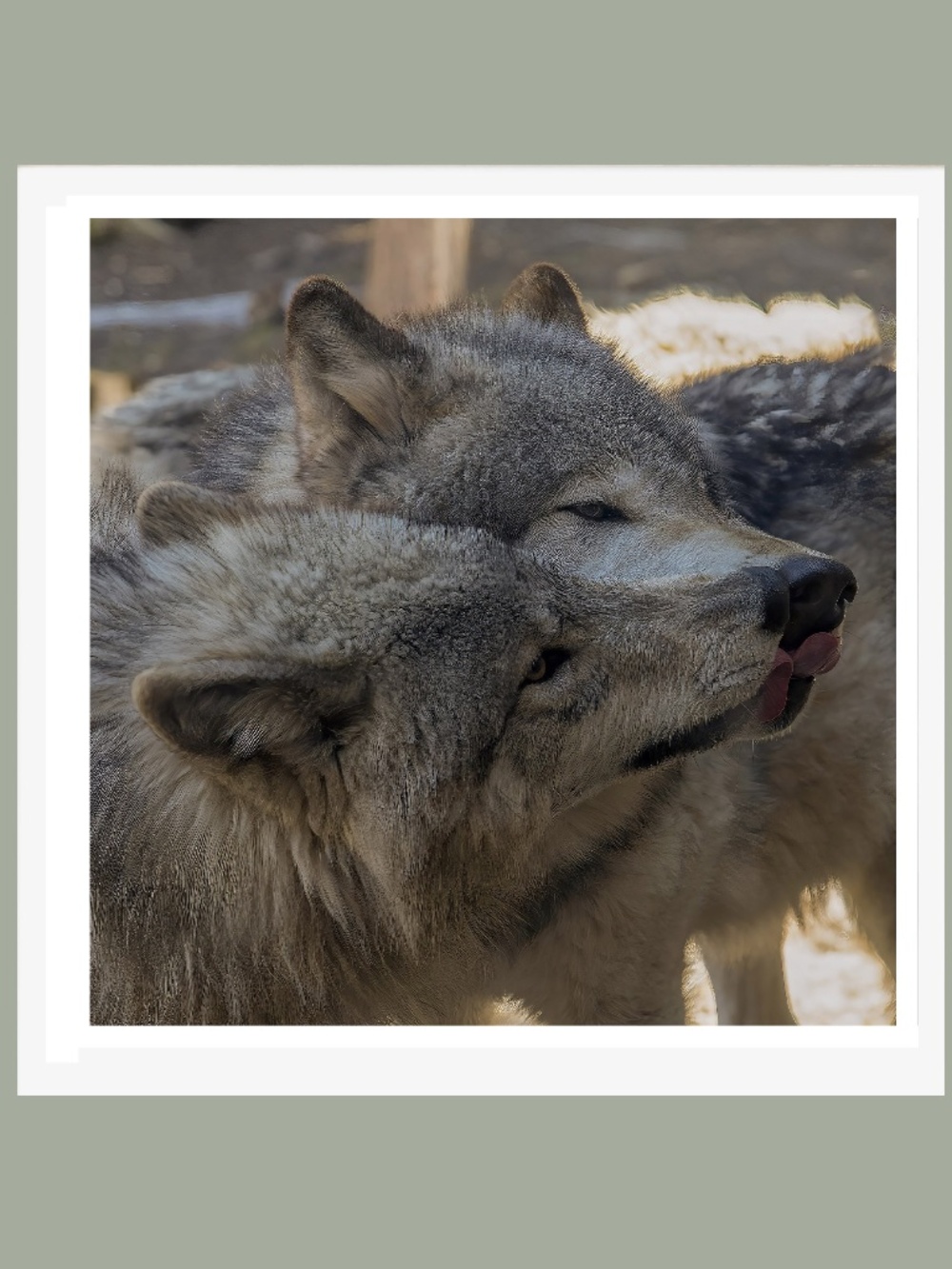 PRINT on professional paper 8x8 matted in white to 12" x 12" My Photo Your Frame